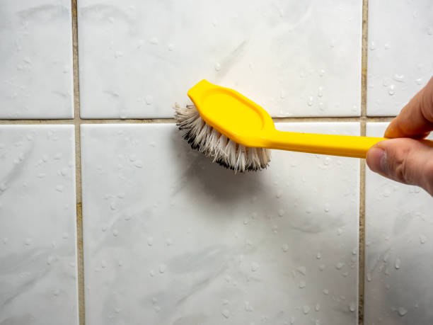 Best Affordable Mold Removal  in Grayson Vley, AL
