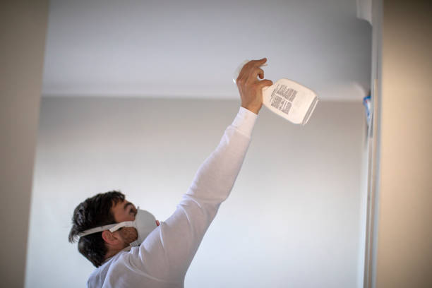 Office Mold Removal Services in Grayson Valley, AL