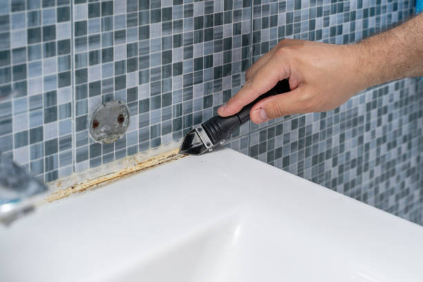 Best Black Mold Removal  in Grayson Vley, AL