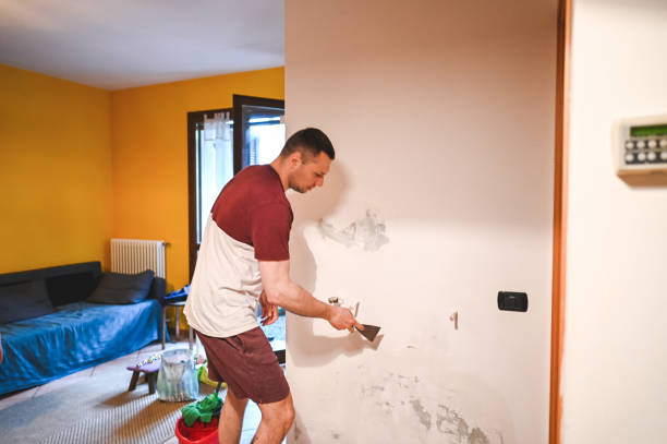 Best Mold Cleaning Services  in Grayson Vley, AL